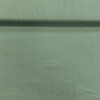 Uni Baumwolljersey Altmint