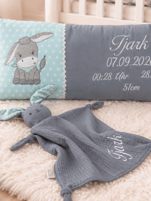 Kissen und Hase